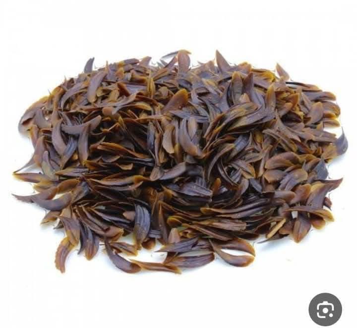 ضفرة فلبينية